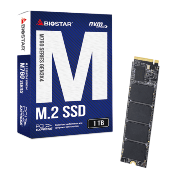 BIOSTAR SSD 1TB M760 1