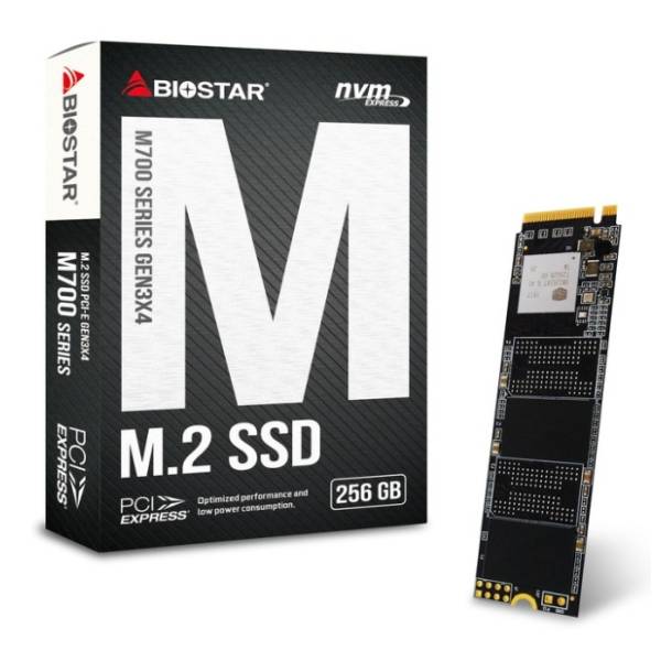 BIOSTAR SSD 256GB M700 1