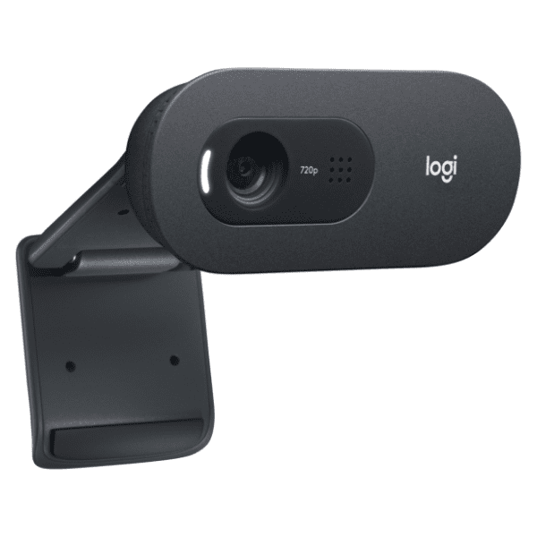 LOGITECH web kamera C505e Long Range HD 2