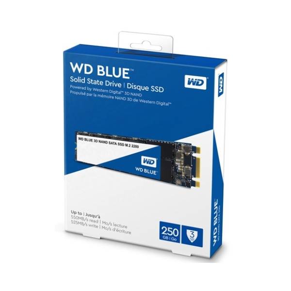 WESTERN DIGITAL SSD 250GB WDS250G2B0B 2