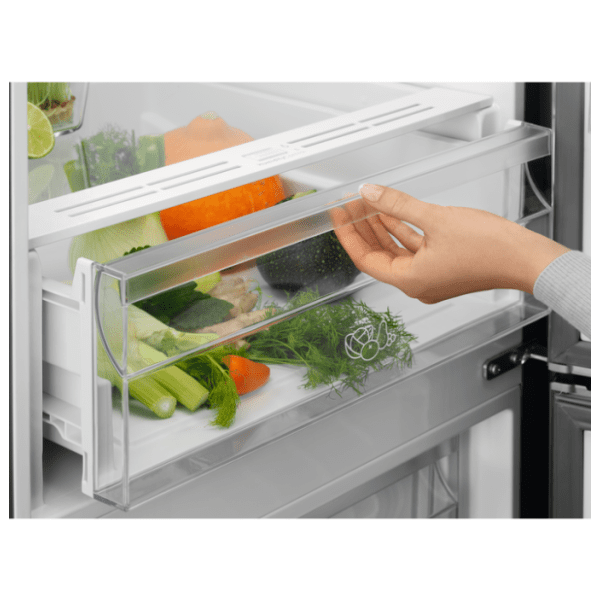 ELECTROLUX kombinovani frižider LNT5ME36U1 5