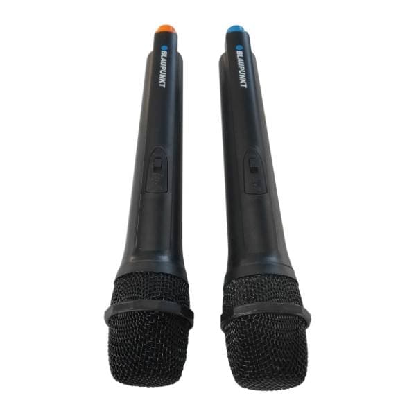 BLAUPUNKT partybox zvučnik PB10DB 8