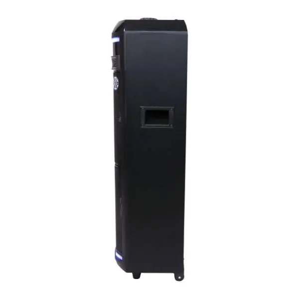 BLAUPUNKT partybox zvučnik PS11DB 9
