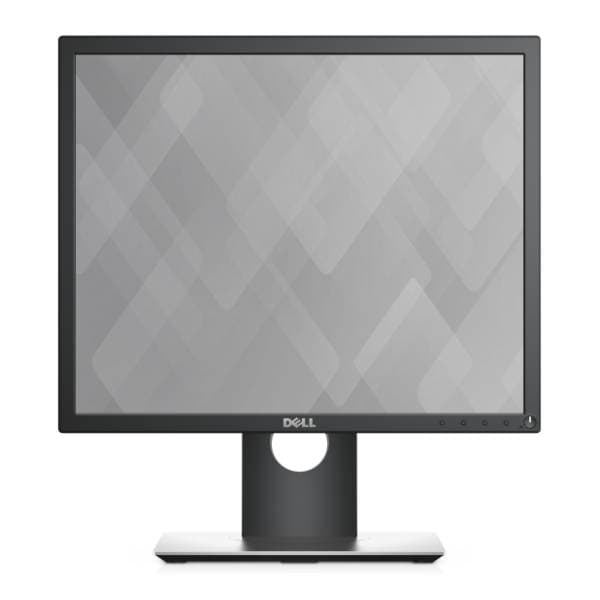 DELL monitor P1917S 0