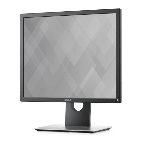 DELL monitor P1917S 1
