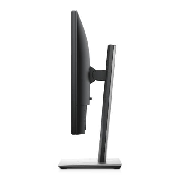 DELL monitor P1917S 2