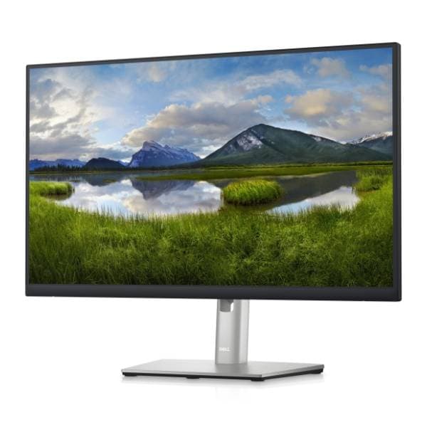 DELL monitor P2423DE 2