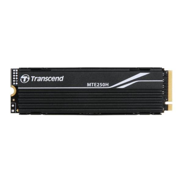 TRANSCEND SSD 1TB TS1TMTE250H 0