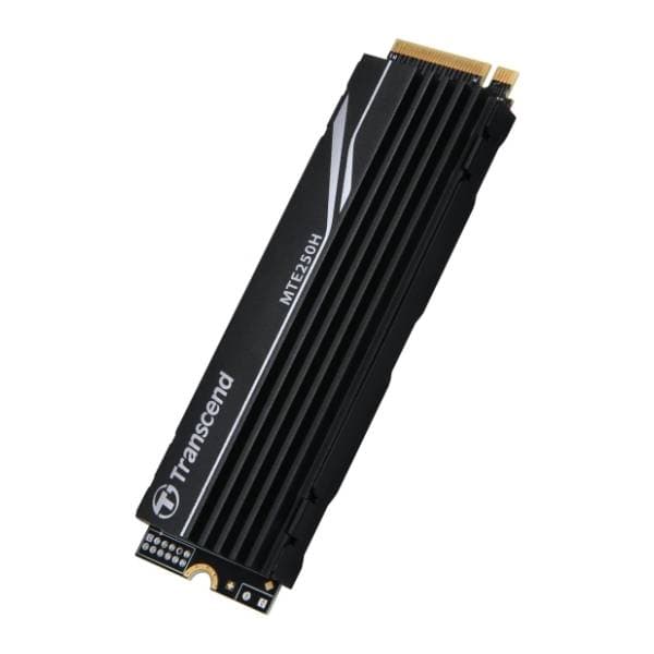 TRANSCEND SSD 1TB TS1TMTE250H 1