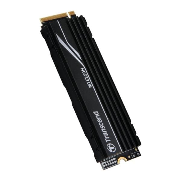 TRANSCEND SSD 1TB TS1TMTE250H 2