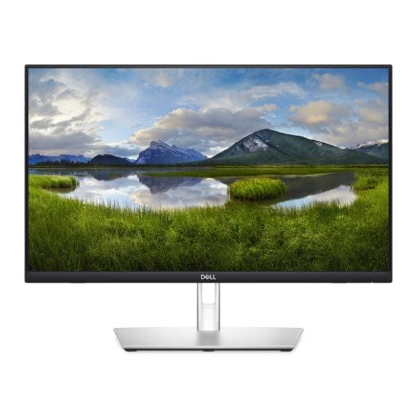 DELL monitor P2424HT 0