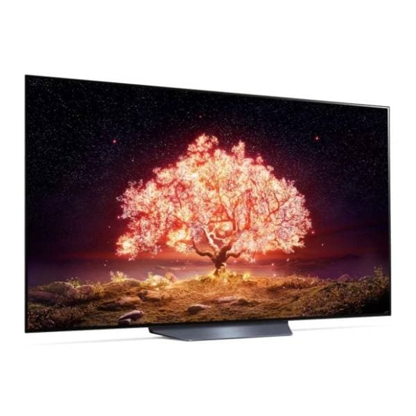LG OLED televizor OLED65B13LA 1