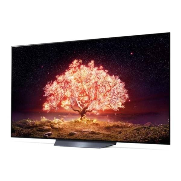 LG OLED televizor OLED65B13LA 2