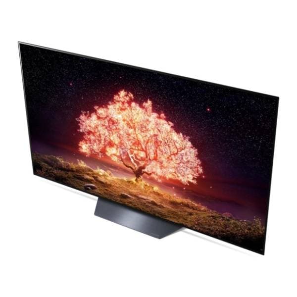 LG OLED televizor OLED65B13LA 4