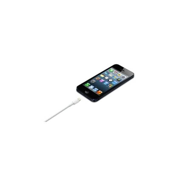 APPLE konverter kabl Lightning na USB (m/m) 0.5m 4