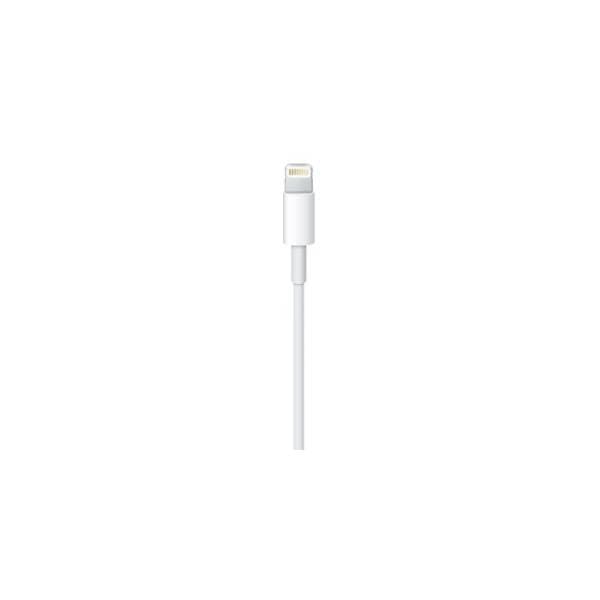 APPLE konverter kabl Lightning na USB (m/m) 0.5m 2