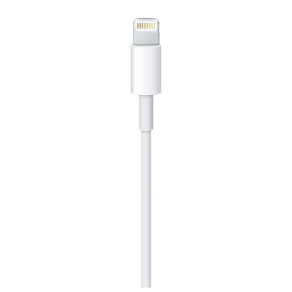 APPLE konverter kabl Lightning na USB (m/m) 1m 1