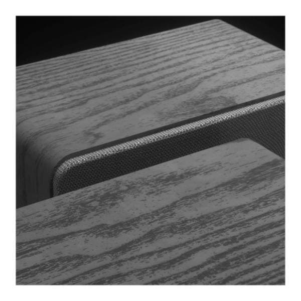 REDRAGON bežični zvučnici Mouthpiece GS813 1