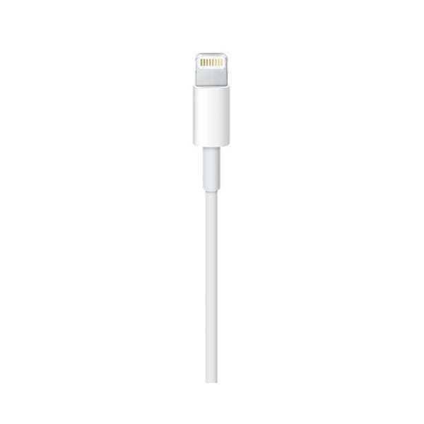 APPLE konverter kabl Lightning na USB 2.0 (m/m) 2m beli 1