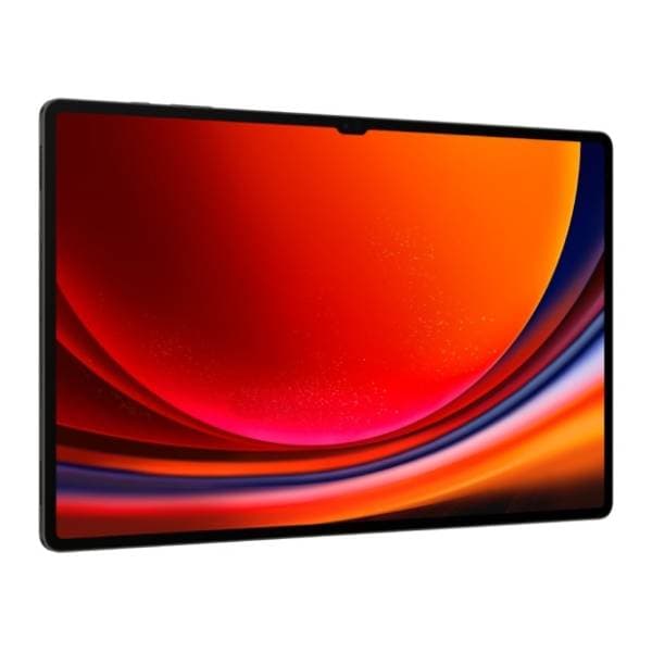 SAMSUNG Galaxy Tab S9 Ultra 12/256GB sivi 2