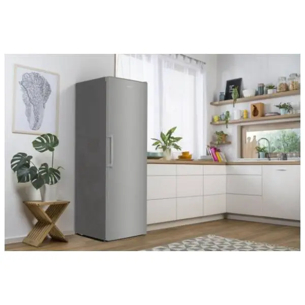 GORENJE frižider R619EES5 13
