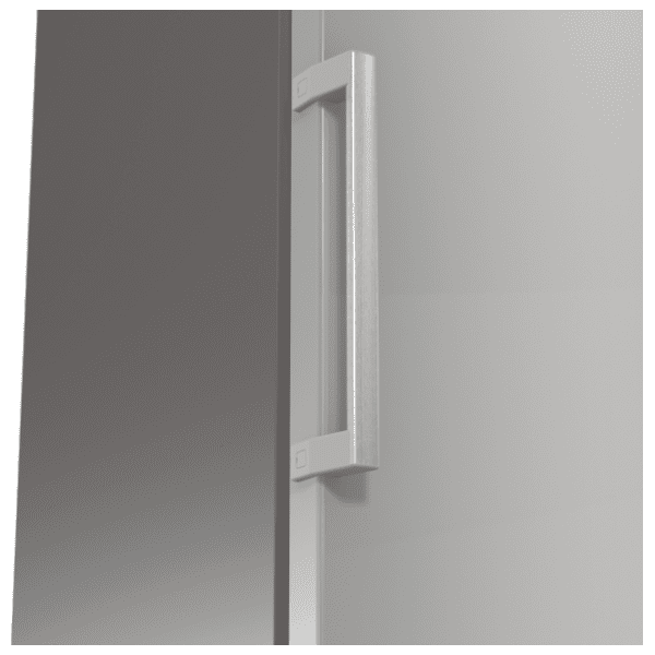 GORENJE frižider R619EES5 11