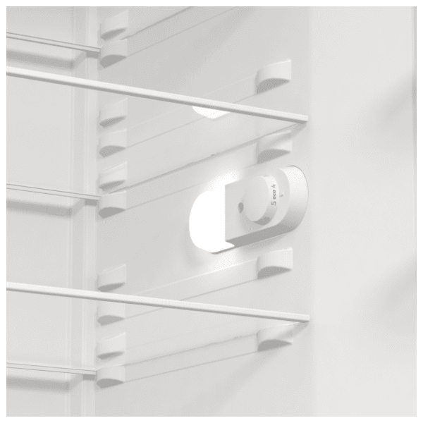 GORENJE frižider R619EEW5 8