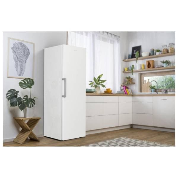 GORENJE zamrzivač FN619EEW5 13