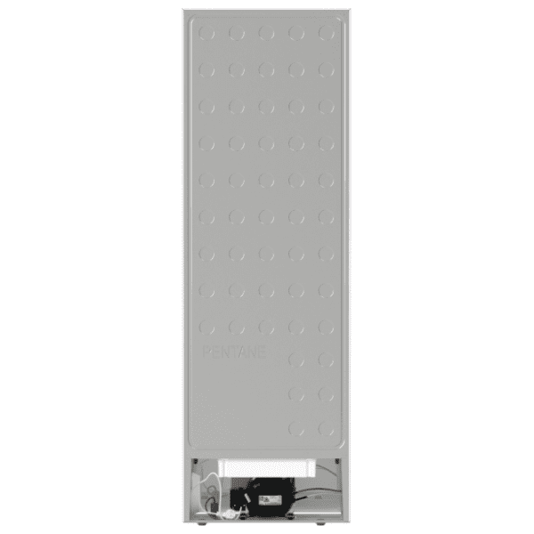 GORENJE zamrzivač FN619EEW5 15