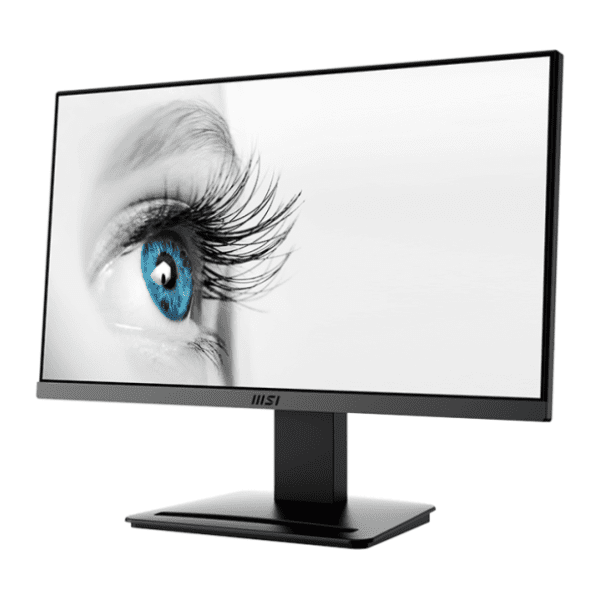 MSI monitor Pro MP223 2