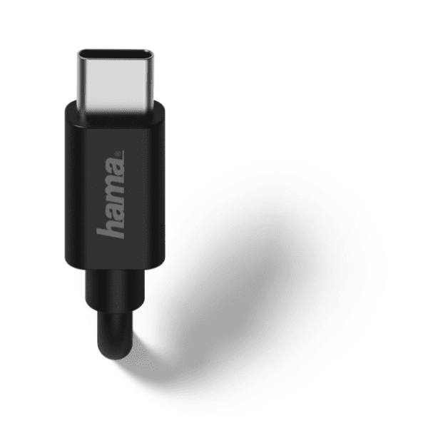 HAMA punjač USB-C 183242 1
