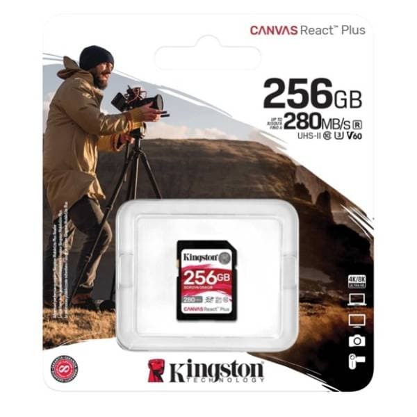 KINGSTON memorijska kartica 256GB SDR2V6/256GB 2