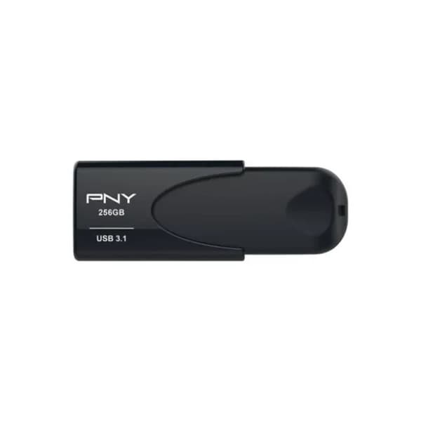PNY USB flash memorija 256GB 0