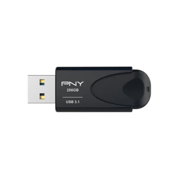 PNY USB flash memorija 256GB 1