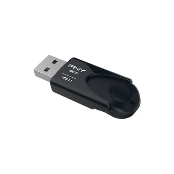 PNY USB flash memorija 256GB 3