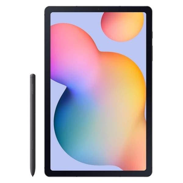 SAMSUNG Galaxy Tab S6 Lite 2024 LTE 4/64GB Gray 0