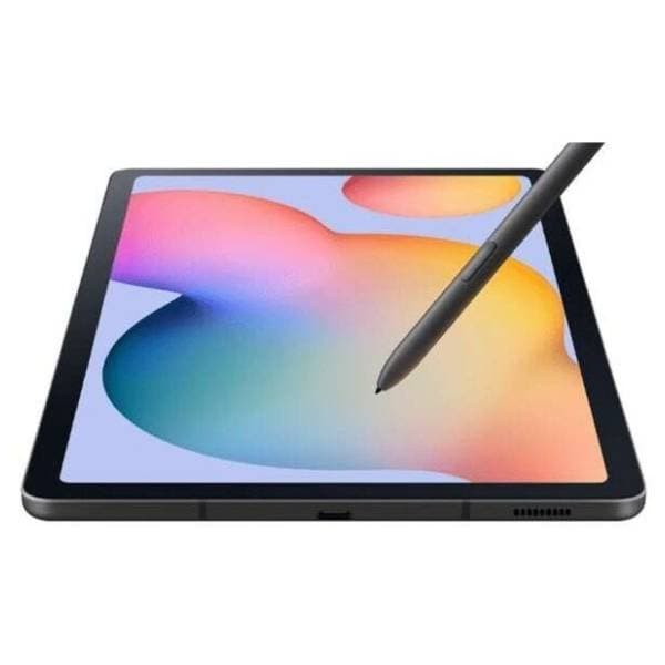 SAMSUNG Galaxy Tab S6 Lite 2024 LTE 4/64GB Gray 3