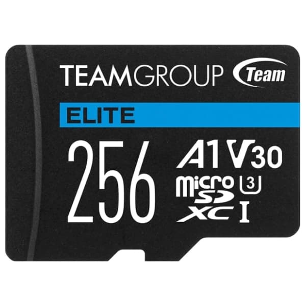 TEAM GROUP memorijska kartica 256GB TEAUSDX256GIV30A103 1