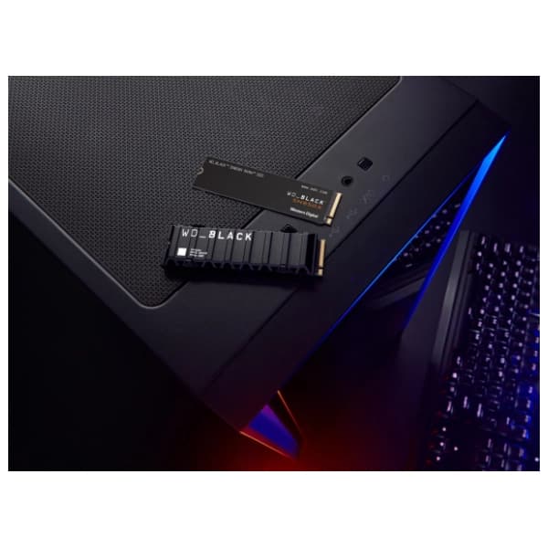 WESTERN DIGITAL SSD 1TB WDS100T2X0E 2