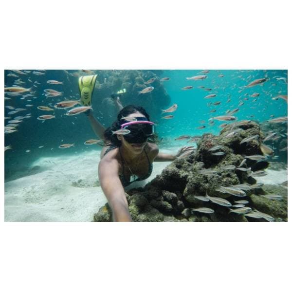 GoPro AJDIV-001 zaštitno kućište 4