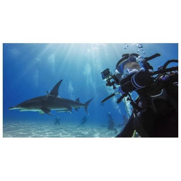 GoPro AJDIV-001 zaštitno kućište 3