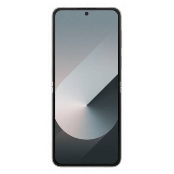SAMSUNG Galaxy Z Flip6 12/256GB Silver Shadow (SM-F741BZSGEUC) 1