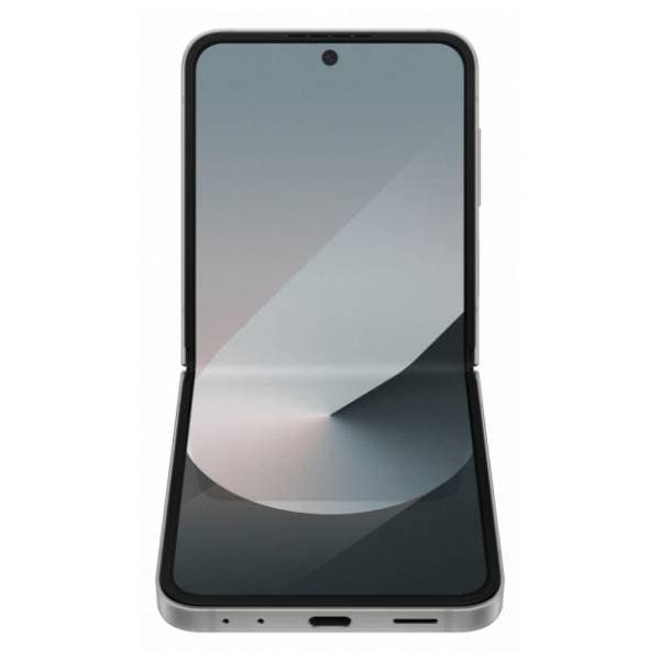SAMSUNG Galaxy Z Flip6 12/256GB Silver Shadow (SM-F741BZSGEUC) 3