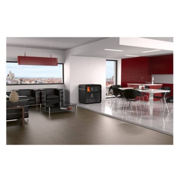 ALFA PLAM šporet na čvrsto gorivo Futuro L 5