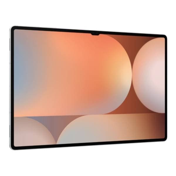 SAMSUNG Galaxy Tab S10 Ultra 12/256GB Platinum Silver 1