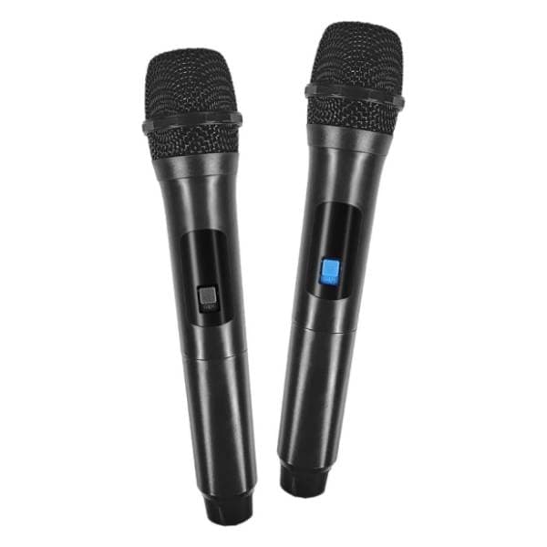 VIVAX partybox zvučnik BS-1001 2