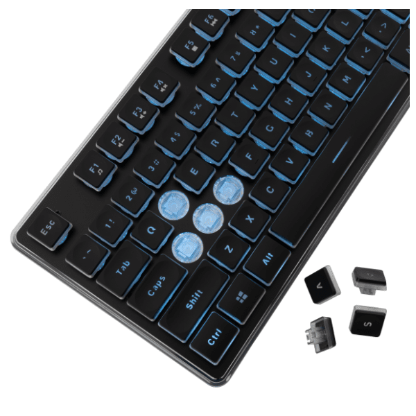 WHITE SHARK tastatura GK-003441 Tachi Black EN(US) 2