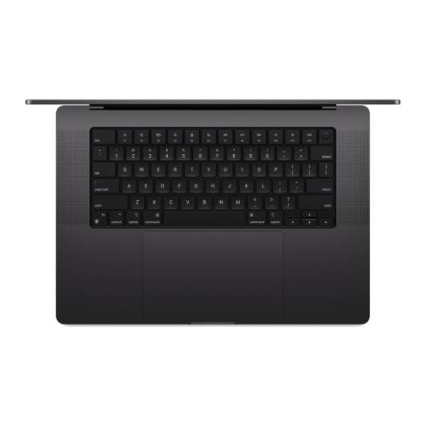 APPLE laptop MacBook Pro 16 M4 Max 48GB/1TB Space Black (mx313cr/a) 1