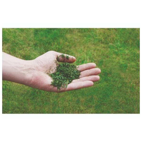 EINHELL GC-PM 51/3 S HW benzinska kosačica 5