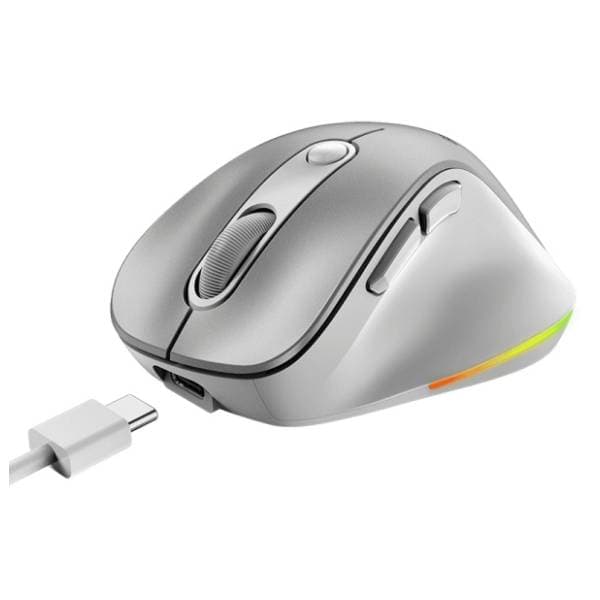 GENIUS bežični miš Ergo 9000S Pro Silver 1